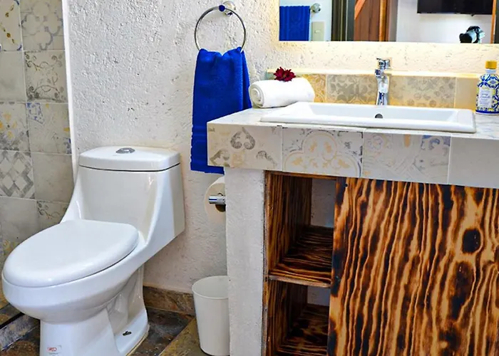 Casa Real Coyoacan Guest house 3*