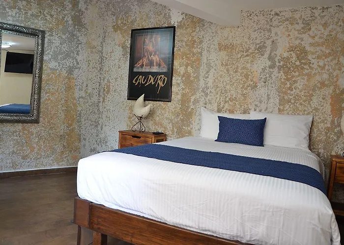 Casa Real Coyoacan 3*